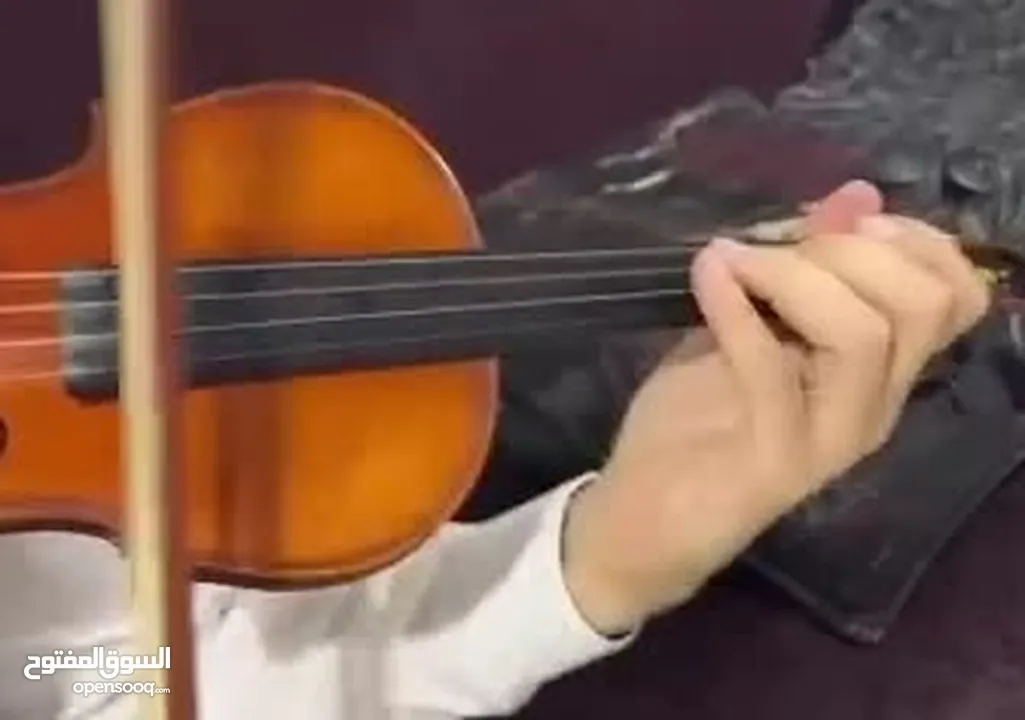 Professional violin