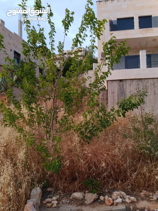 منزل للبيع في بتير