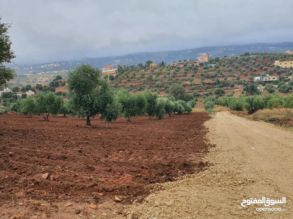 ارض للبيع في السلط الصبيحي منطقة ميسرا بالقرب من مطعم بيت شاكر