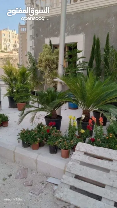 ركن المنزل لخدمات الزراعة العامة وتنسيق الحدائق وصيانتها مع خدمة التوصيل لكافة محافظات المملكة