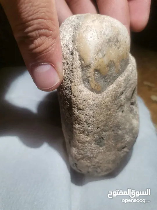 نوادر الكريم  تستحق الاقتناء