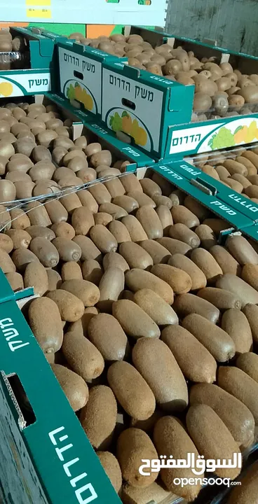 مشروع تجاري مربح بحاجه لتمويل