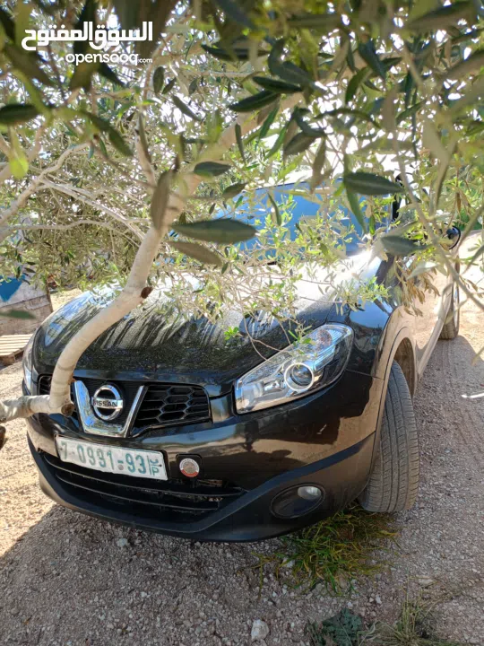 احمد سليم /قلقيلية/عزون