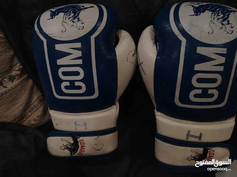 ادوات Muay Thai Kickboxing الوصف مهم