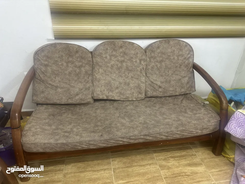مورس للبيع خشب زان