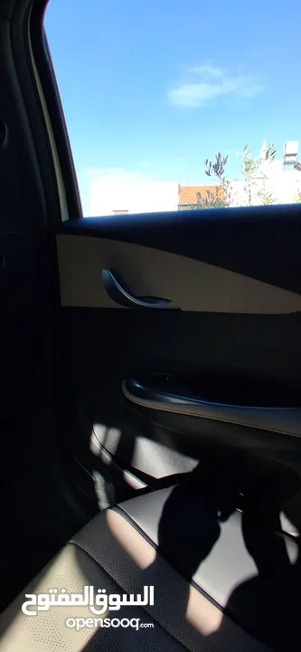 BYD 2023 دولفين