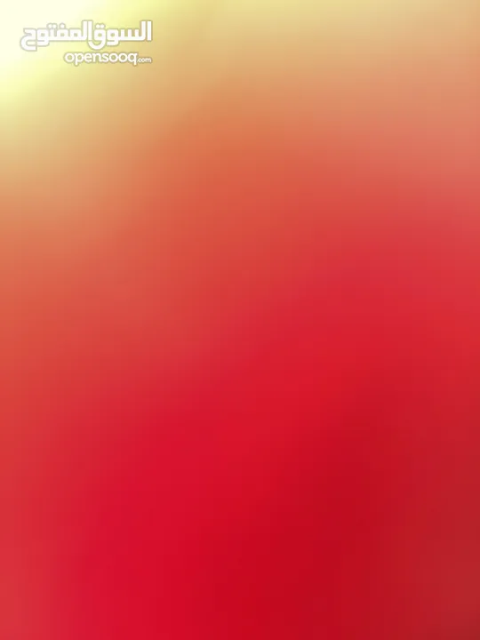 بدي سلحفاه للبيع في القدس وضواحيها