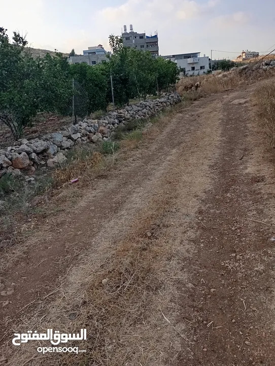 اعلان عن ارض