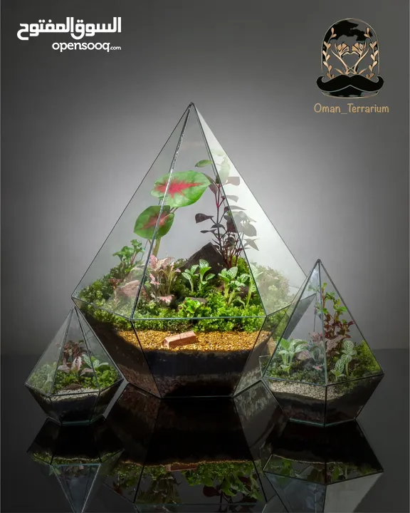 Terrarium fresh flower