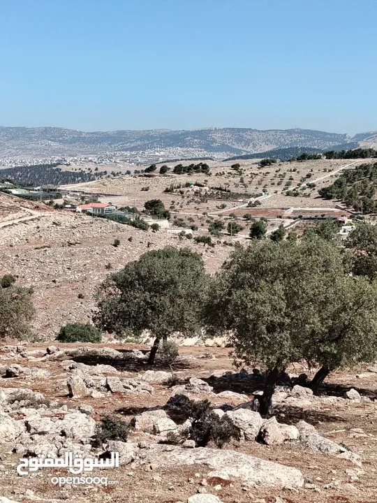 ارض للبيع جرش عنيبه سكان المهندسين
