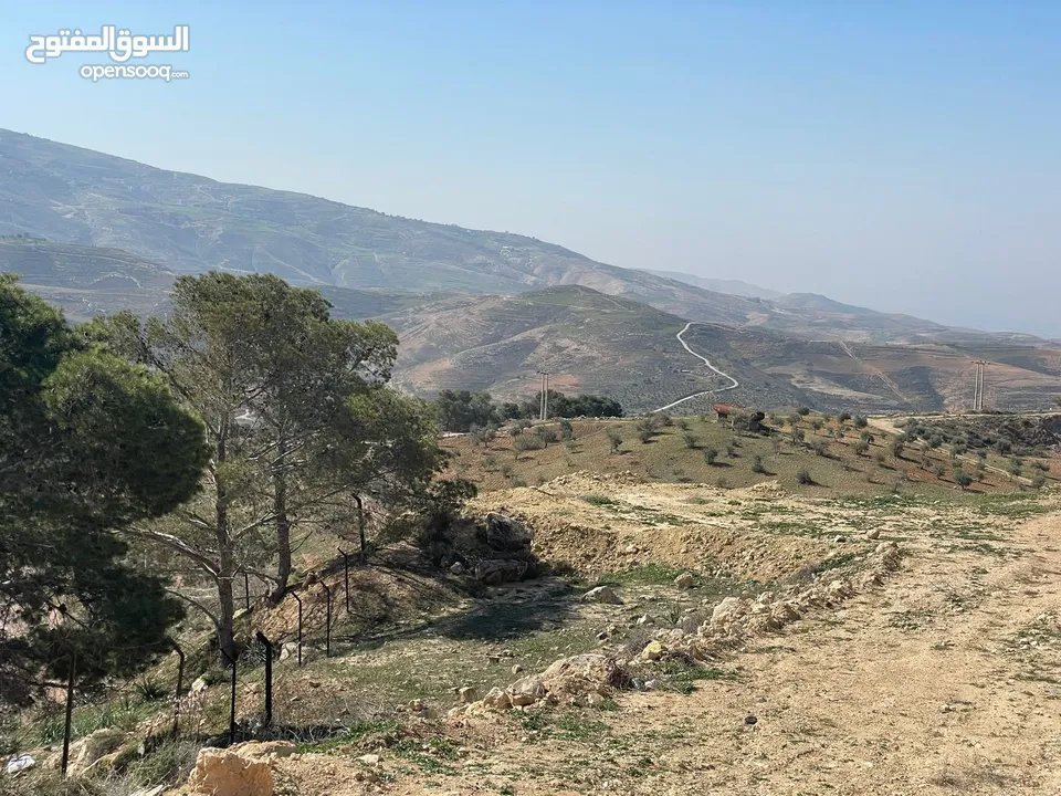 ارض للبيع / الصبيحي 18 دونم تقع على شارع رئيسي ‏بإطلالة مميزة وجميلة ويوجد بجانبها مطعم
