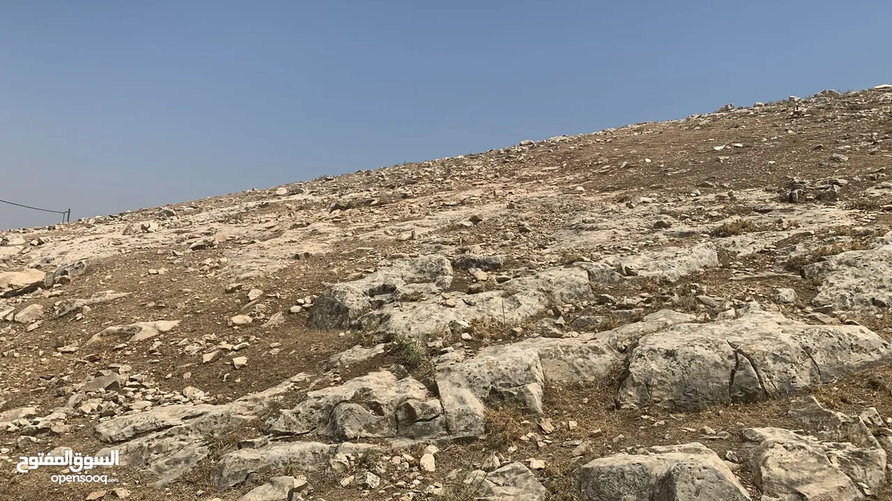أراضي للبيع