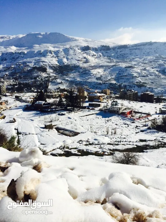 Superb view escape in Faraya furnished with Quality stay شاليه فاريا مفروش منظر رائع