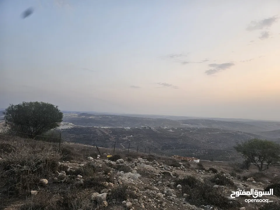 أجمل واعلى مناطق تل بئر الغزال منطقة فلل وقصور باطلالة بنوراما