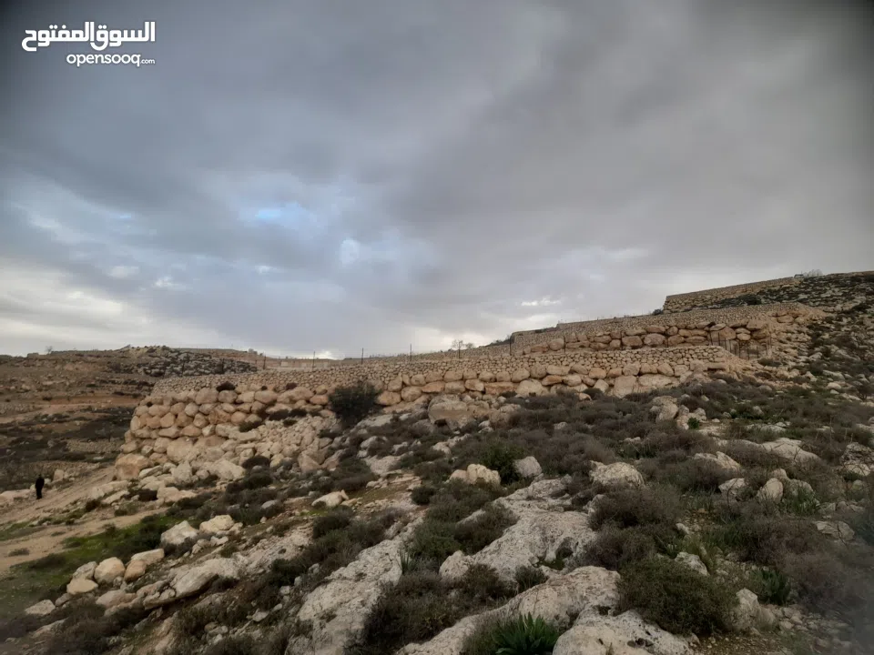 1800 م ارض طابو A الخليل دورا خرسه