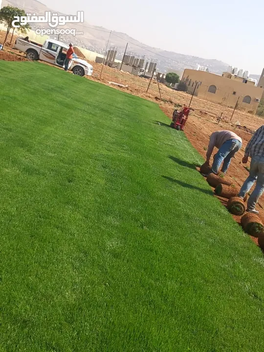نجيل طبيعي وصناعي