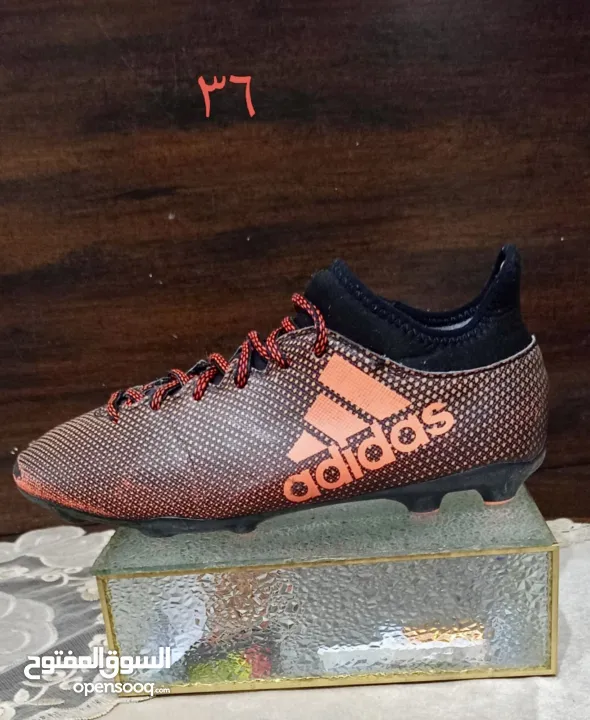 شروه احذية 60 جوز اصلي اوروبي منضف معقم جاهز للبيع