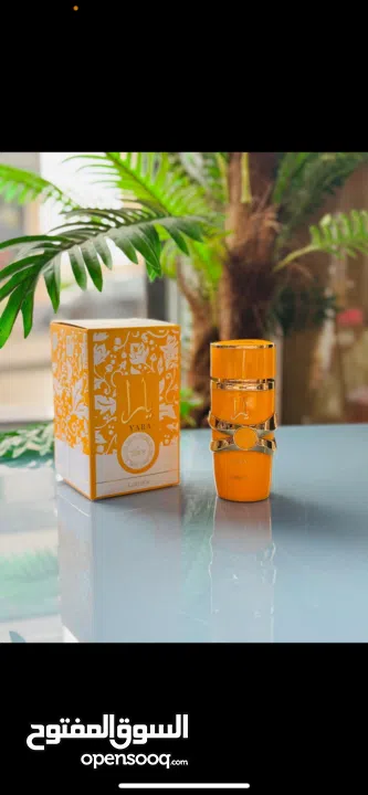 عطور بسعر العرض