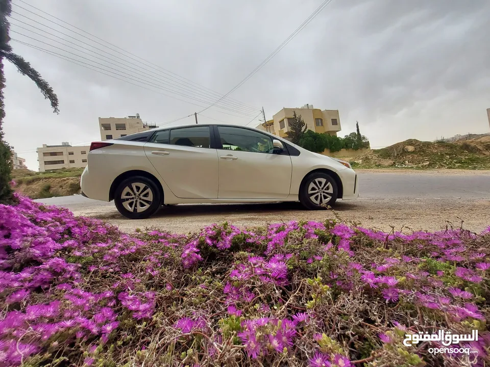 تيوتا بريوس 2019