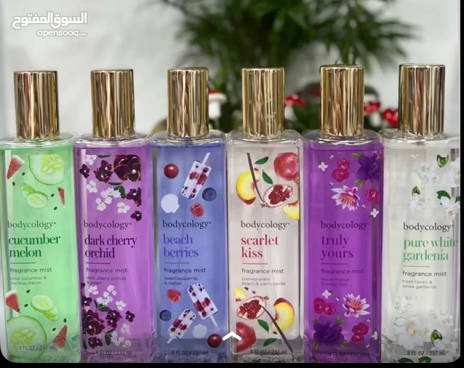 عطور عساف عطور فرنسيه وعطور كوبي تساتر