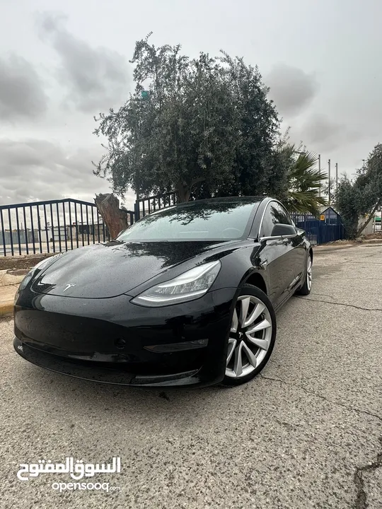 تيسلا مودل 3 ستاندر بلس 2019- Tesla Model 3 2019