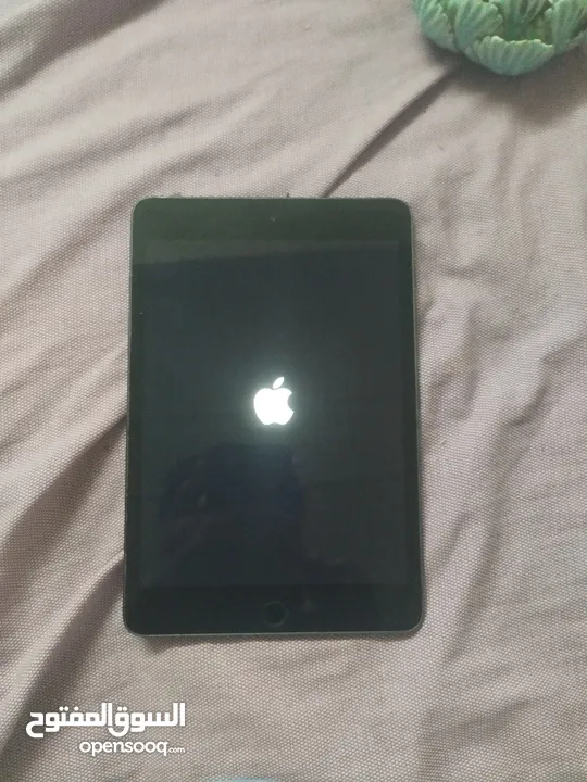 ipad mini5 simcard 256 giga working good touch replacement