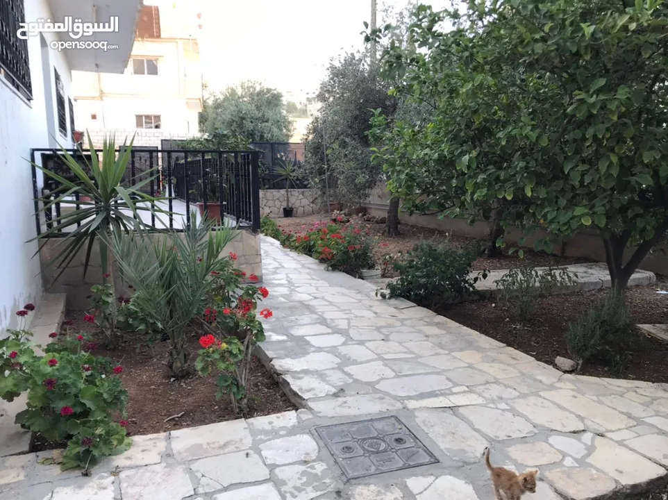 عمارة من 3 شقق مساحة 320 م وارض فارغة ياجوز منطقة الرشيد حي جعفر قرب اخر موقف للباصات