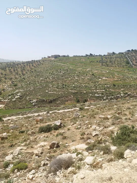 ارض للبيع ( ام رمانه) قريبه جدا من شارع الاردن حيث تبعد عن بن معروف 6 دقائق فقط