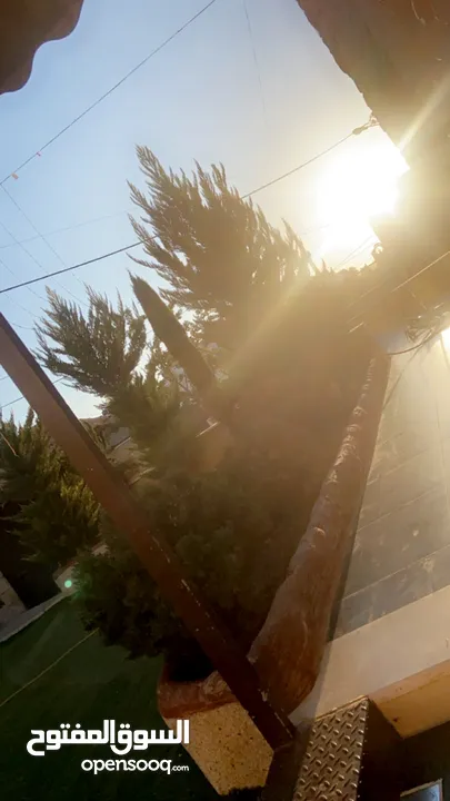 بيت مستقل بأجمل مناطق الخليل في ضاحية الزيتون