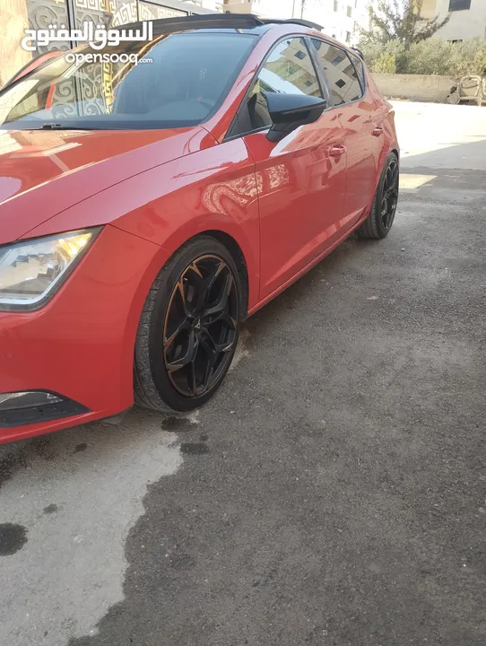 سيت ليون فل الفل