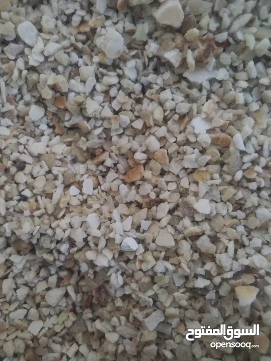 مطلوب خبز ناشف