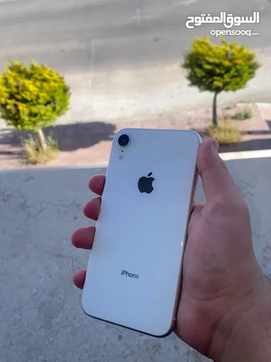iphone xr white