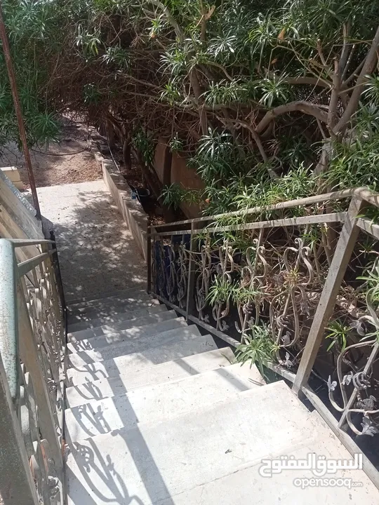 بيت مستقل للايجار