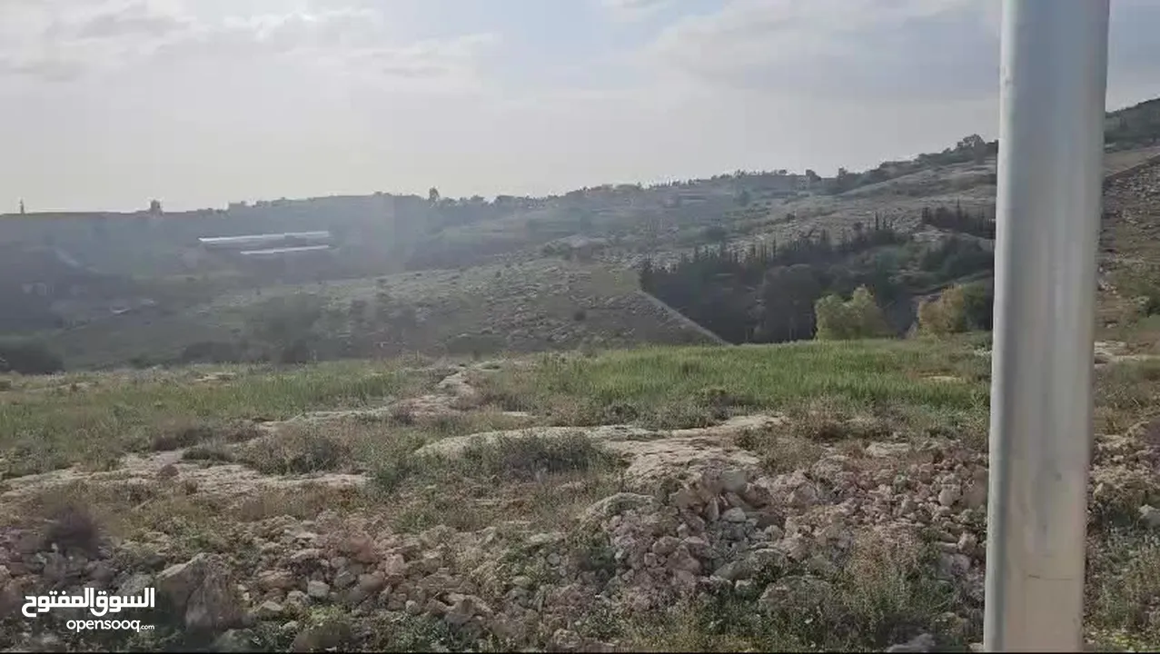 ارض للبيع البصه الحكر 5 دونمات و484 م  تصلح لبناء قصر ذات اطلاله