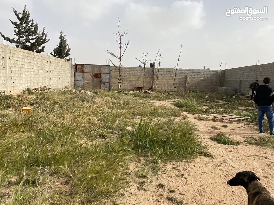 قطعة ارض للبيع بنغازي القوارشه