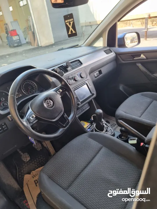 كادي ترخيص 2017 شصي قصير