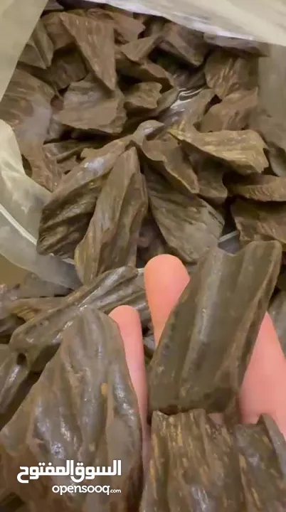 عرض اليوم للعود الأزرق أفضل أنواع الكلمنتان