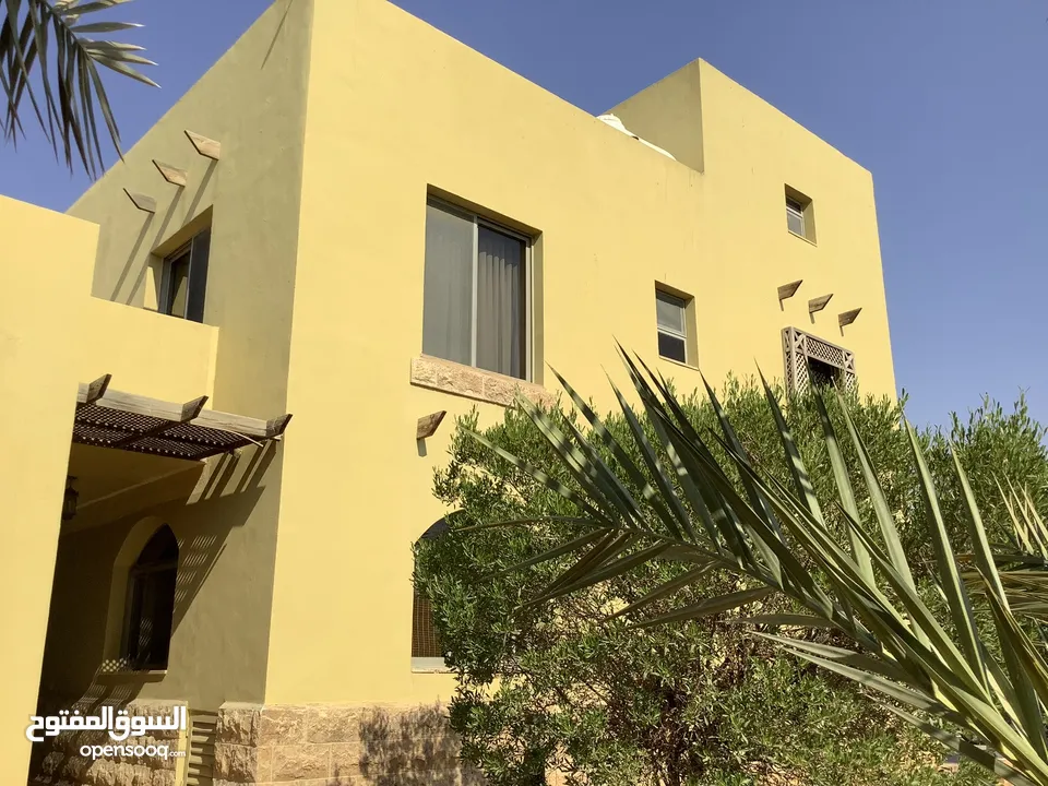 مزرعة في البحر الميت/ الشونه الجنوبية / السويمه / حوض جلد مميزة للبيع للجادين فقط