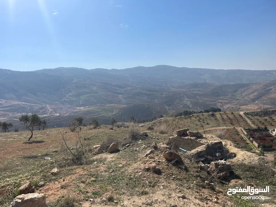 ارض للبيع / الصبيحي 18 دونم تقع على شارع رئيسي ‏بإطلالة مميزة وجميلة ويوجد بجانبها مطعم