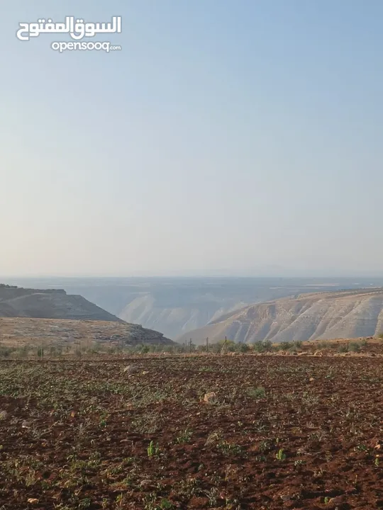 مزرعه أربعه دونم مشيكه بالكامل ارض زراعيه وبيت ريفي غرفتين وحمام ومطبخ صغير وباربكيو وساحه واسعه