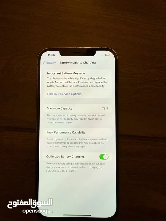 IPHONE 12 PRO MAX
