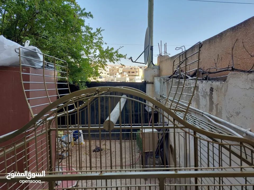 قفص ببغاء كبير يتسع لأكثر من طير مستعمل نظيف
