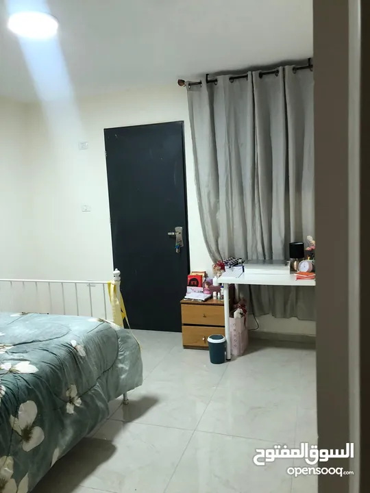شقة للايجار في شارع الارسال