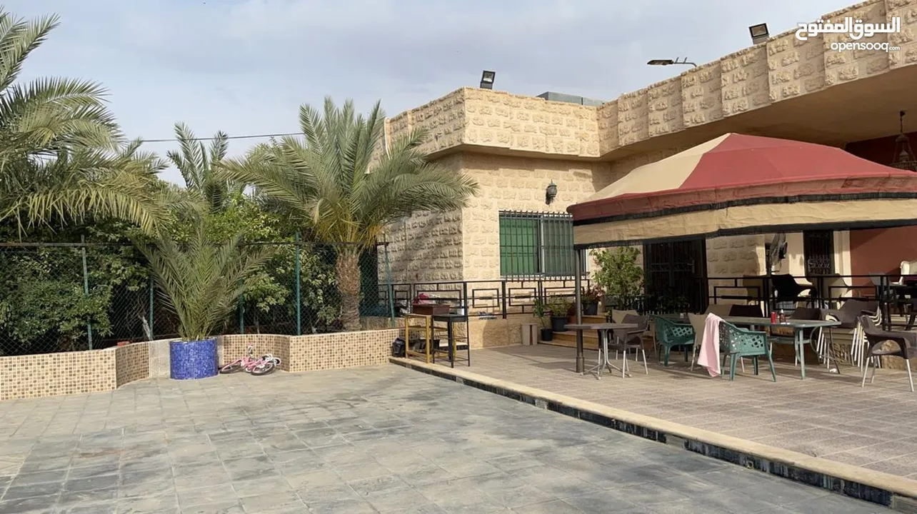 مزرعة للبيع في الغور في منطقة الروضة  المزرعة لم تؤجر و استخدام شخصي فقط