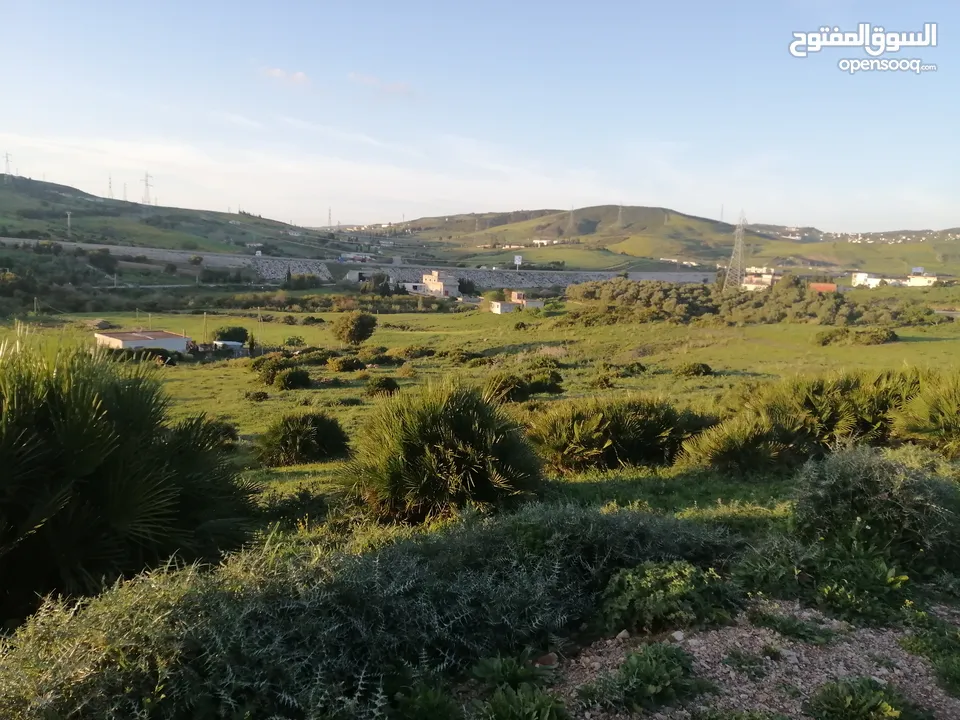 أرض للبيع نواحي طنجة صالحة للبناء ملكية