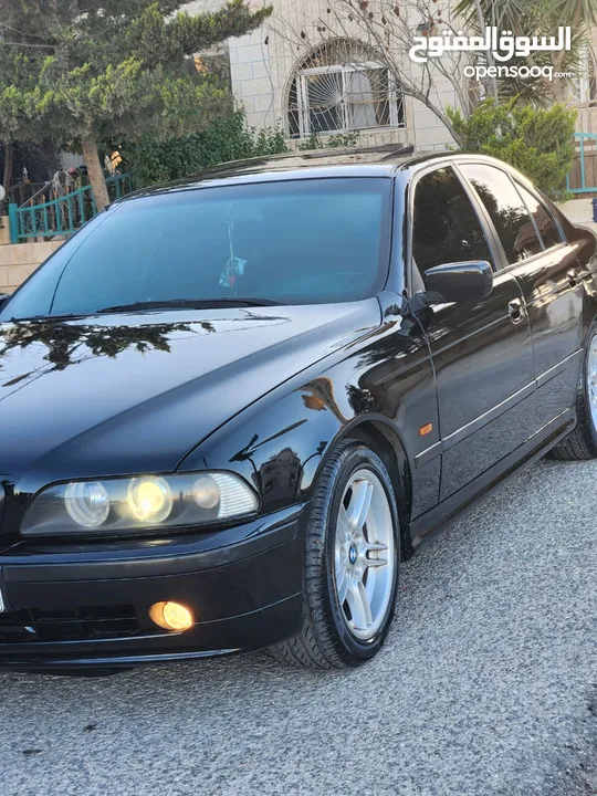 BMW E39 الدب