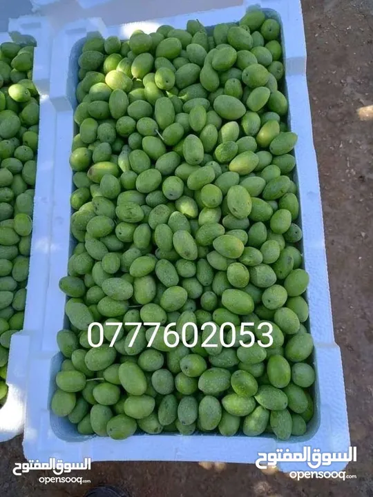 اغتنم الفرصة مزرعة مميزة مروية على نبع الماء في القنية اتوستراد جرش الزرقاء ما شاء الله بسم الله