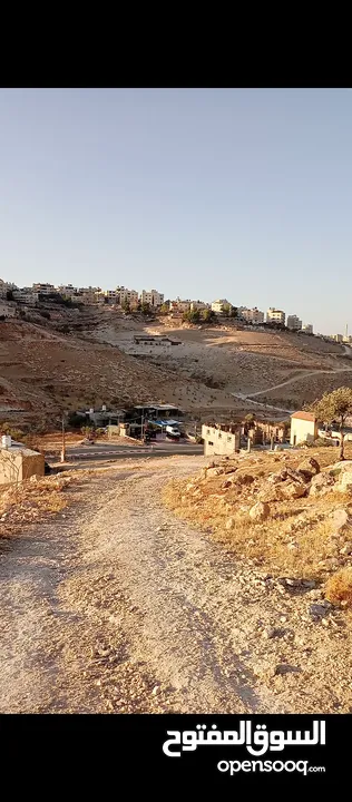 ارض مع منزل عظم للبيع في دار صلاح