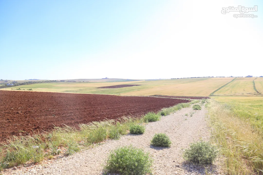 ارض للبيع مادبا ماعين الكريك بمنطقة الفيحاء ارض زراعية مميزة بمنطقة مزارع وفلل مساحتها 3400 م