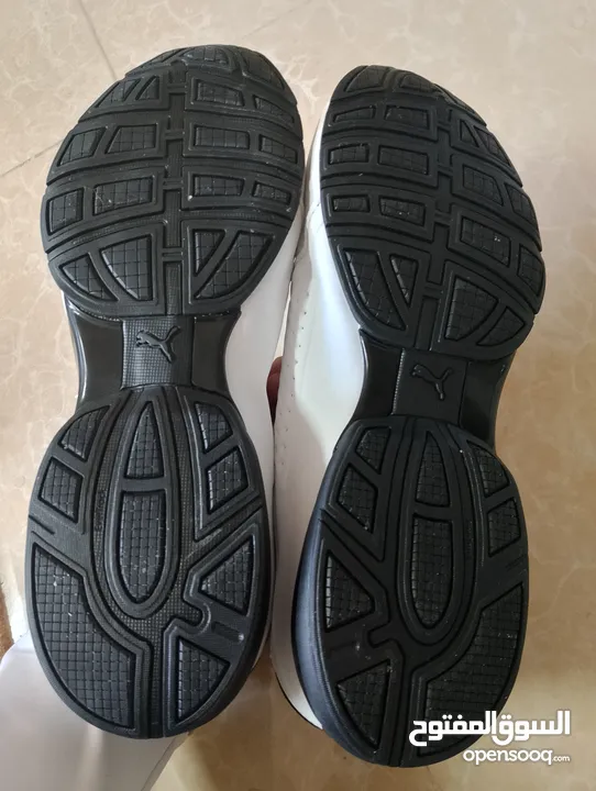 حذاء .Puma  اصلي بحال الوكاله لساته جديد وارد أروبي  الواحد ب 35